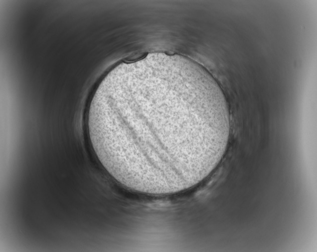 X0000088040196200706081616