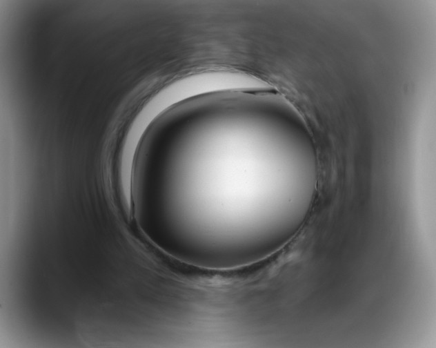 X0000088040197200706081616