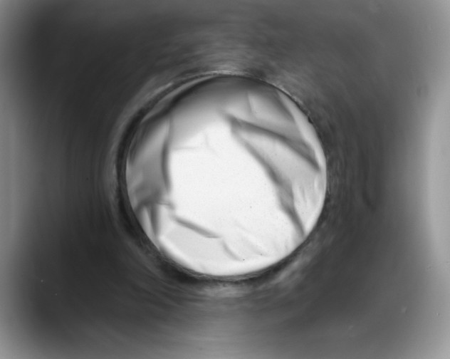 X0000088040198200706081616