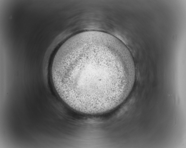 X0000088040199200706081616