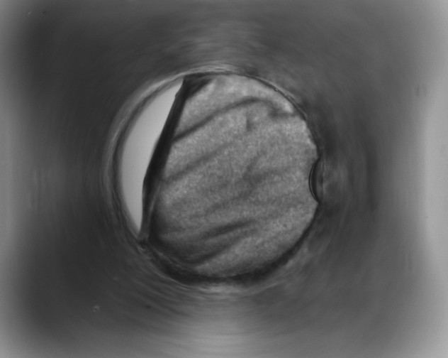 X0000088040200200706081616