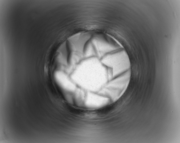 X0000088040214200706081616