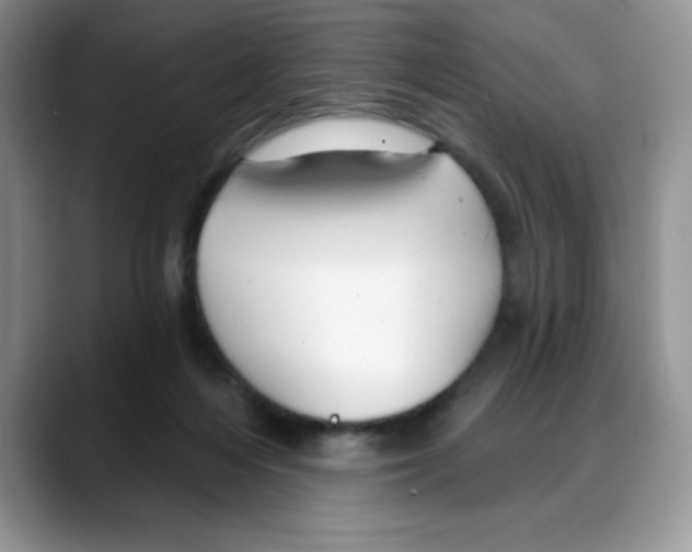 X0000088040216200706081616