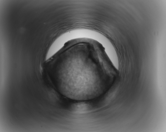 X0000088040219200706081616