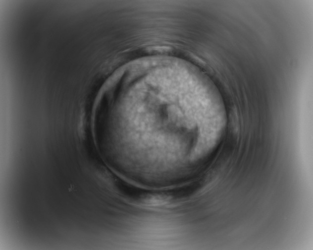 X0000088040223200706081616