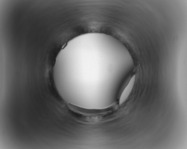 X0000088040225200706081616