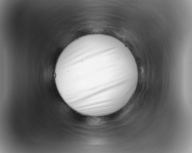 X0000088040230200706081615