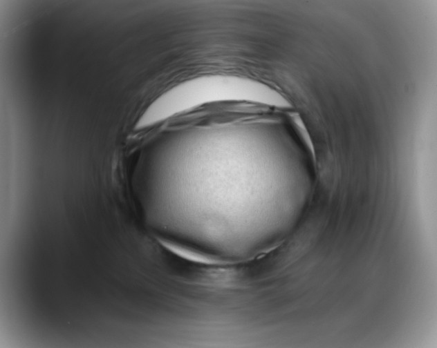 X0000088040233200706081615