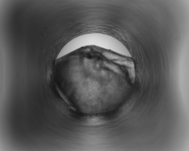 X0000088040235200706081615