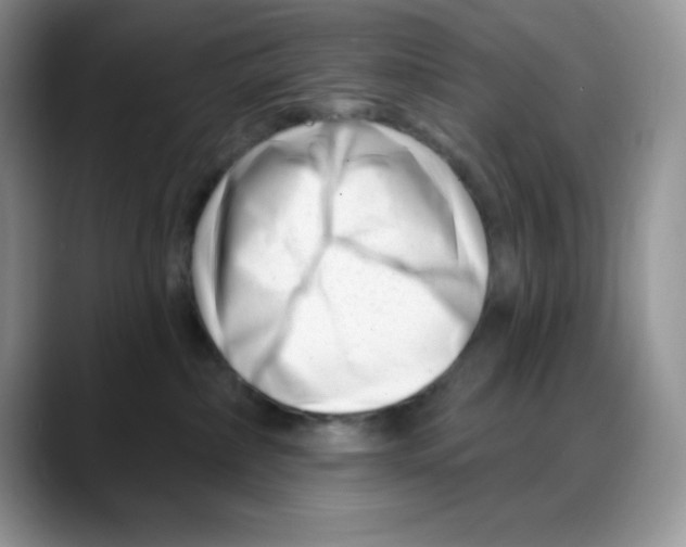 X0000088040236200706081615