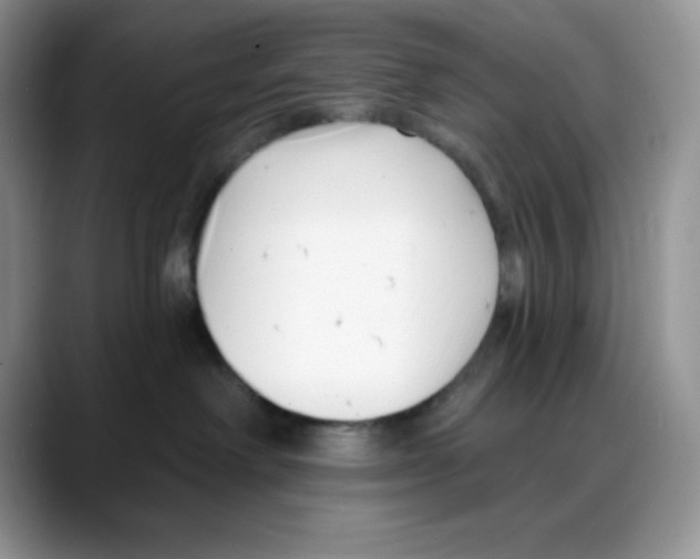 X0000088040238200706081615