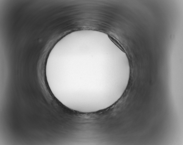 X0000088040241200706081615