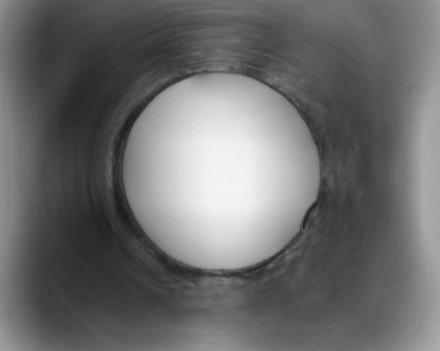 X0000088040242200706081615