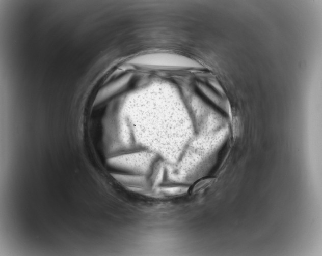 X0000088040243200706081615