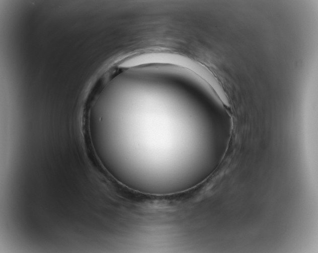 X0000088040244200706081615