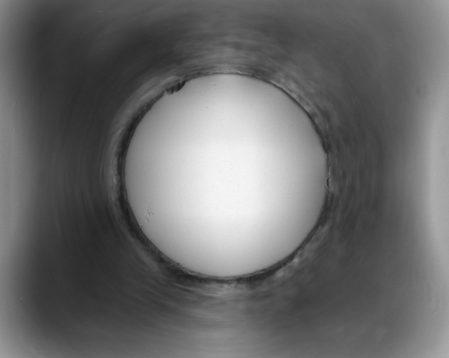 X0000088040245200706081615