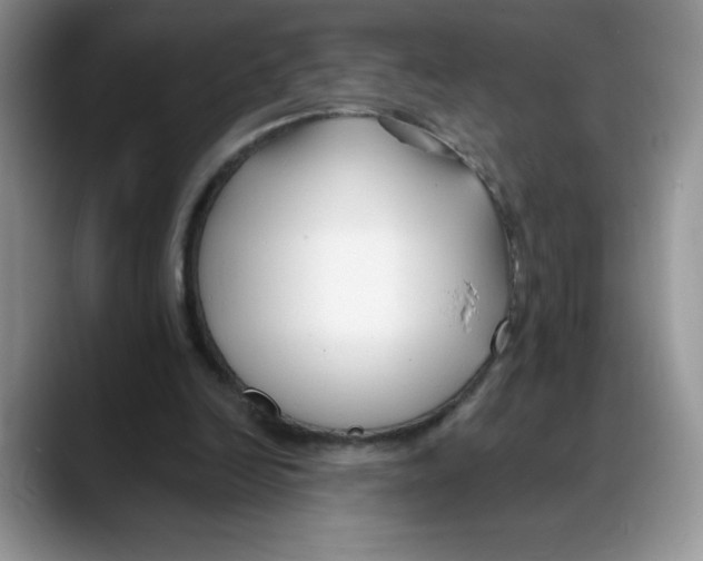 X0000088040246200706081615