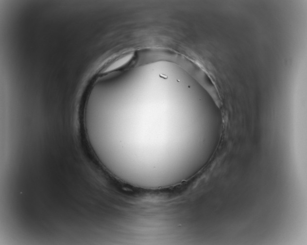 X0000088040248200706081615