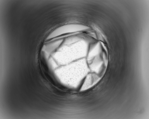 X0000088040249200706081615