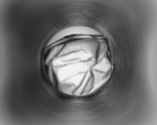 X0000088040250200706081615