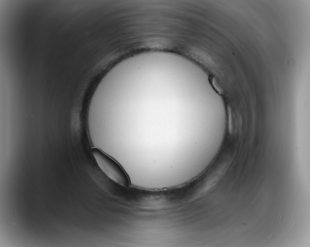 X0000088040252200706081615