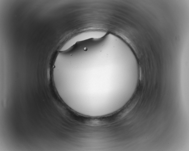 X0000088040253200706081615