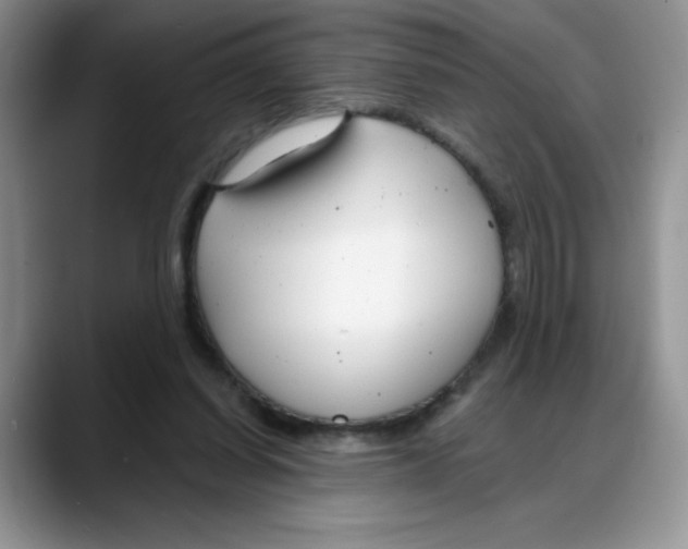 X0000088040254200706081615