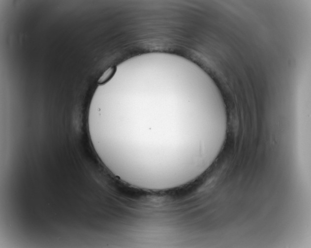 X0000088040255200706081615