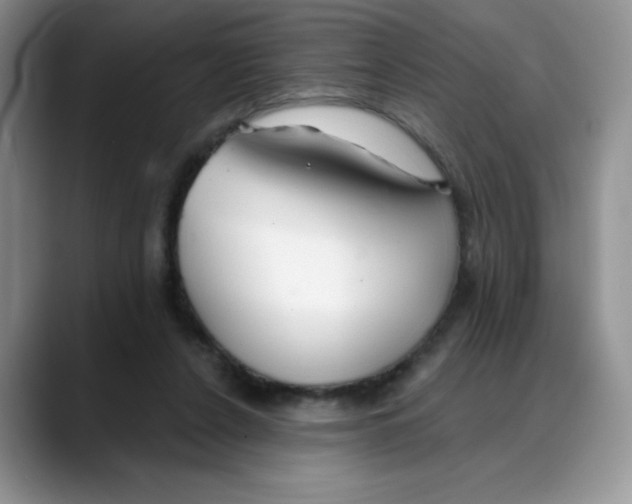 X0000088040256200706081615