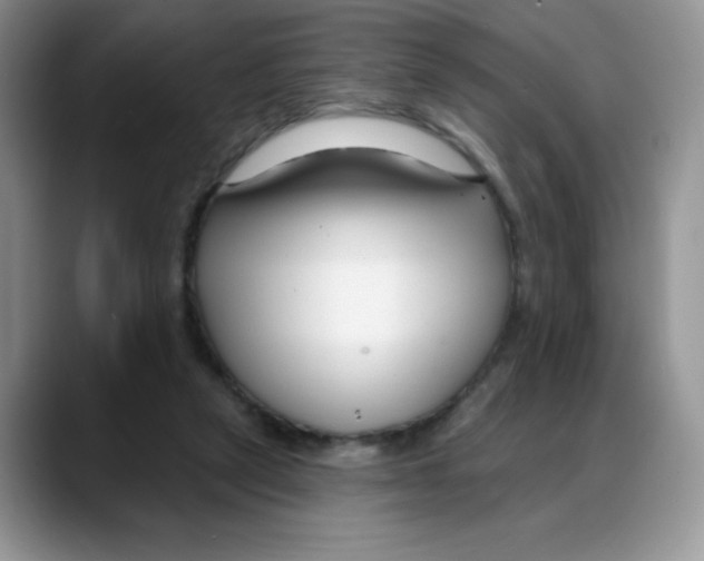 X0000088040257200706081615