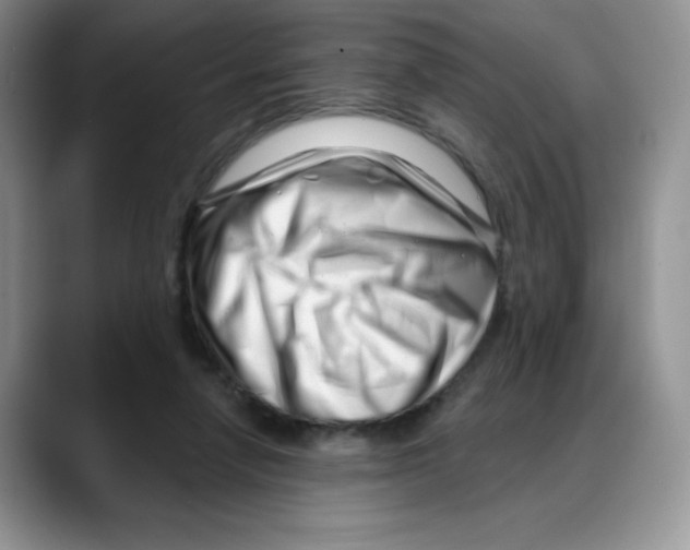 X0000088040258200706081615