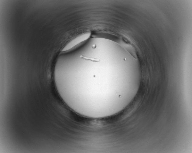 X0000088040261200706081615