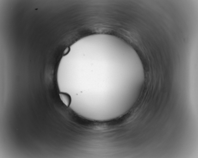 X0000088040263200706081615