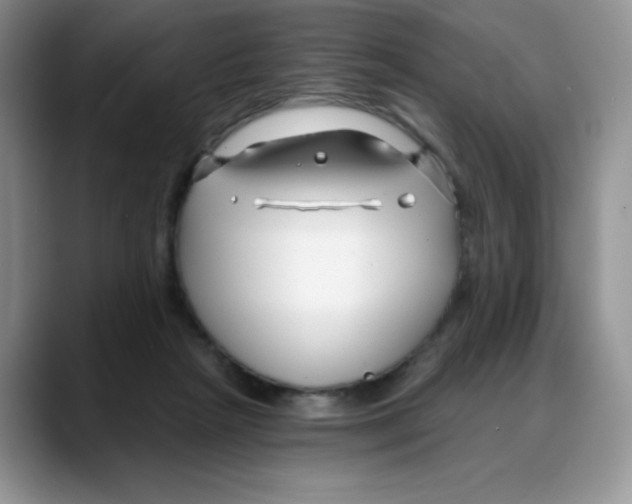 X0000088040265200706081615