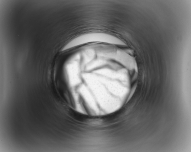 X0000088040266200706081615