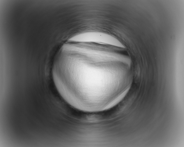 X0000088040268200706081615