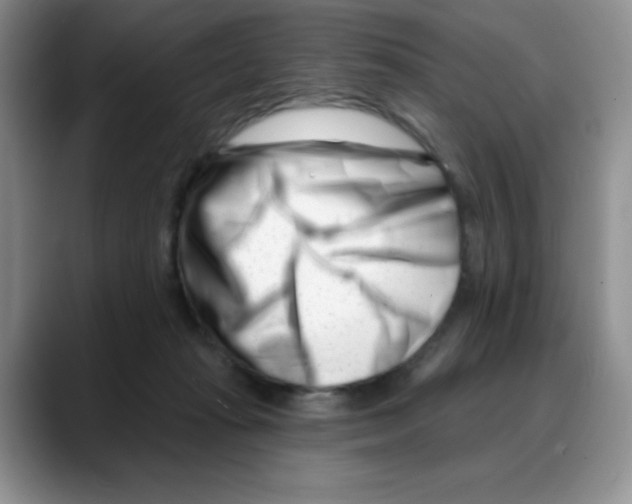 X0000088040269200706081615