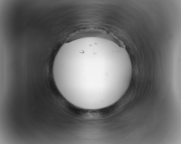 X0000088040270200706081615