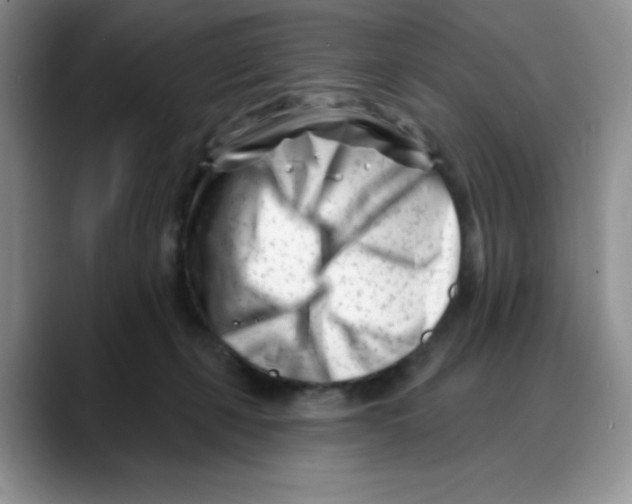 X0000088040271200706081615