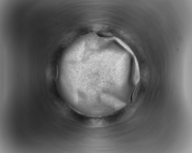 X0000088040272200706081615