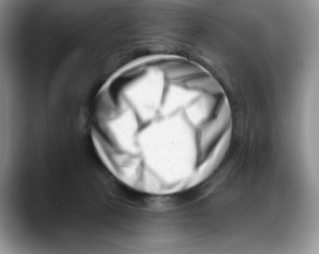 X0000088040273200706081615