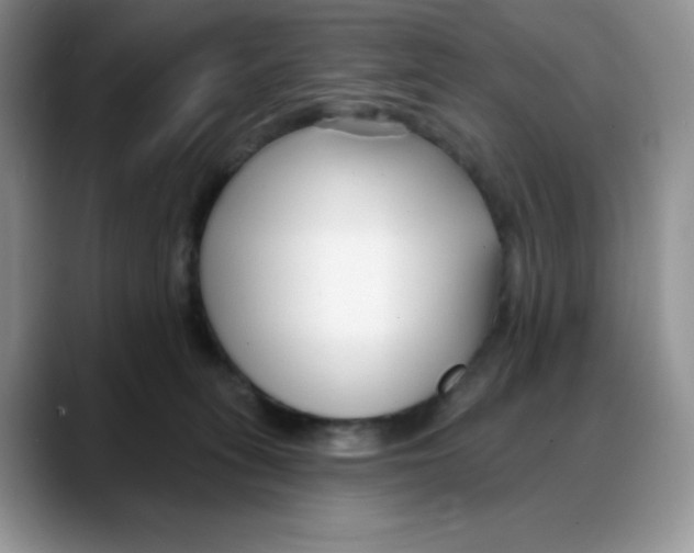 X0000088040275200706081615