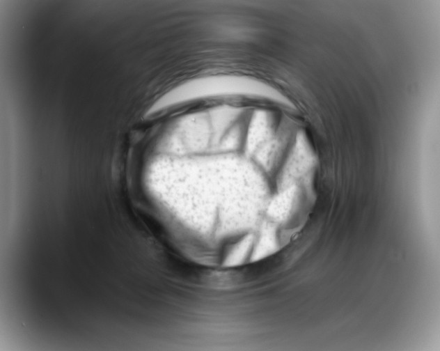 X0000088040277200706081615