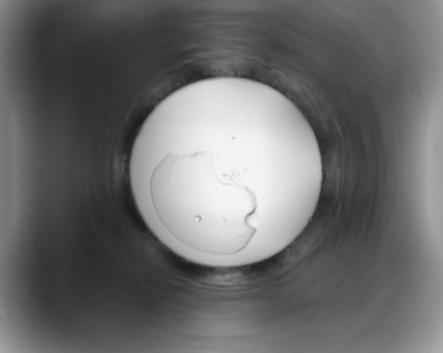 X0000088040278200706081615