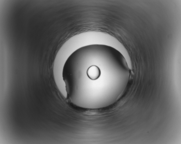 X0000088040280200706081615