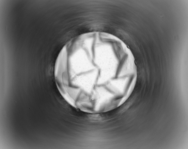 X0000088040281200706081615