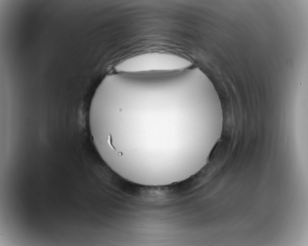 X0000088040282200706081615