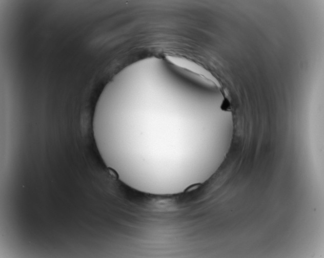 X0000088040283200706081615