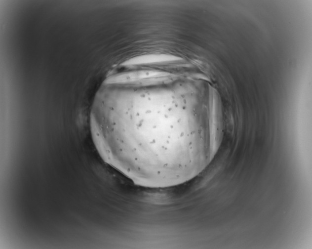X0000088040284200706081615