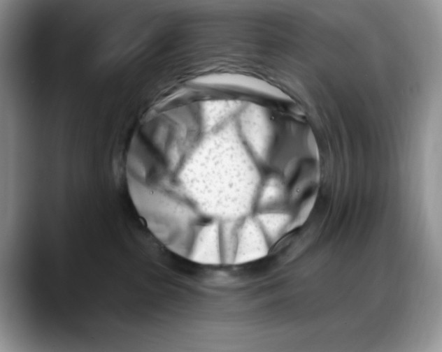 X0000088040285200706081615